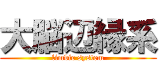 大脳辺縁系 (limbic system)