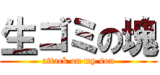 生ゴミの塊 (attack on my son)