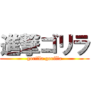 進撃ゴリラ (gorilla gorilla)