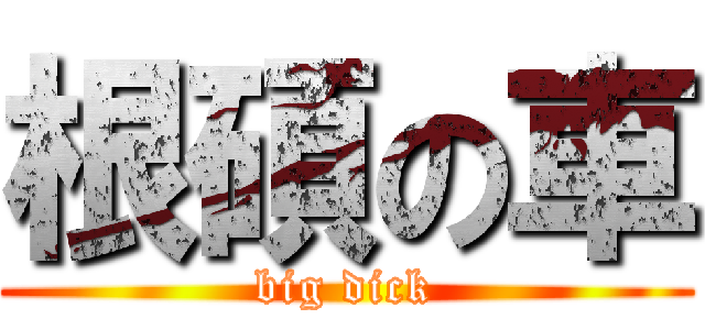 根碩の車 (big dick)