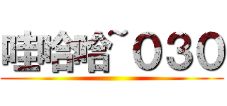 哇哈哈~０３０ ()