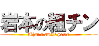 岩本の粗チン (What a small penis)