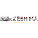 進撃のＺＥＳＨＩＫＡ (attack on zettyan)