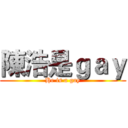 陳浩是ｇａｙ (He is a gay)