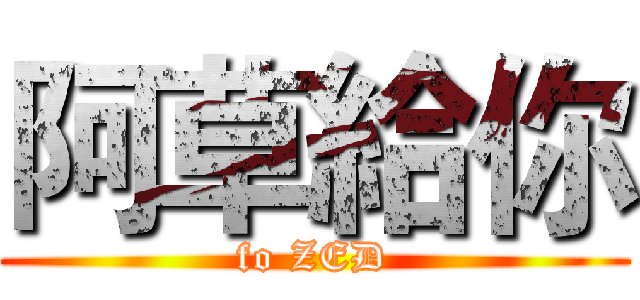 阿草給你 (fo ZED)