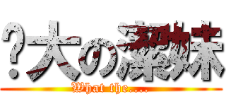 奶大の潔妹 (What the....)