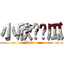 小欣❤傻瓜 (Love )