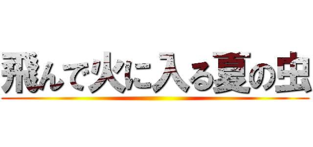 飛んで火に入る夏の虫 ()