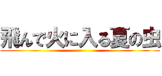飛んで火に入る夏の虫 ()