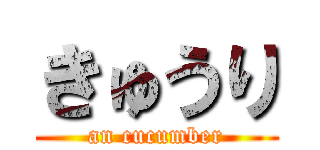 きゅうり (an cucumber)