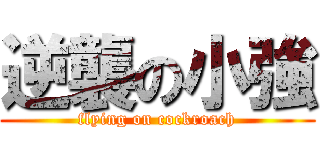 逆襲の小強 (flying on cockroach)