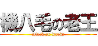 機八毛の老王 (attack on woody)
