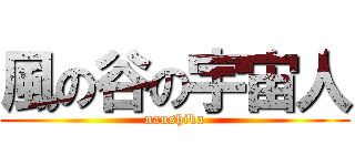 風の谷の宇宙人 (naushika)