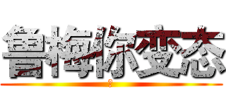 鲁梅你变态 (鲁)