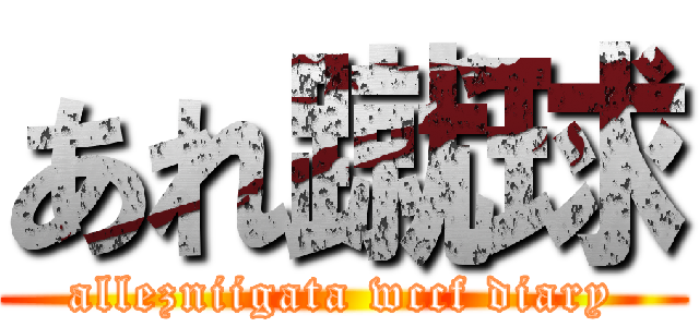 あれ蹴球 (allezniigata wccf diary)