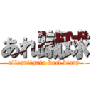 あれ蹴球 (allezniigata wccf diary)