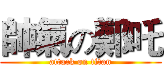 帥氣の鄭吒 (attack on titan)