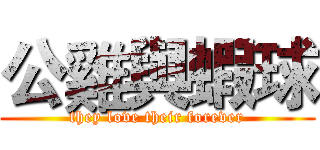 公雞與蝦球 (they love their forever)