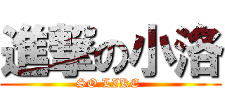 進撃の小洛 (SO LIKE )