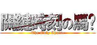 關鍵時刻の馬囧 (The Only Choise)
