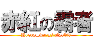 赤紅の霸者 (Procambarus clarkii)