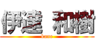 伊達 和樹 (kane)