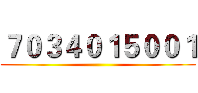 ７０３４０１５００１ ()