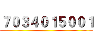 ７０３４０１５００１ ()