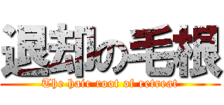 退却の毛根 (The hair root of retreat)