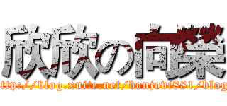 欣欣の向榮 (http://blog.xuite.net/bonjovi881/blog)