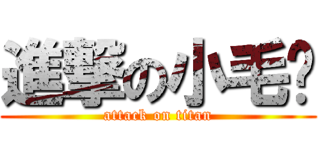 進撃の小毛驴 (attack on titan)