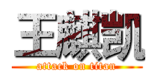 王麒凯 (attack on titan)