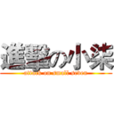 進擊の小柒 (attack on small seven)