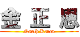 金 正 恩 (North Korea)