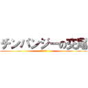 チンパンジーの交尾 (人間に似てる)