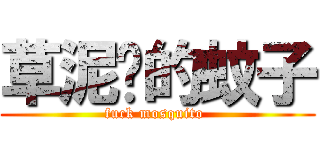 草泥马的蚊子 (fuck mosquito )