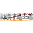 動漫才是王道 (Anime is the best)