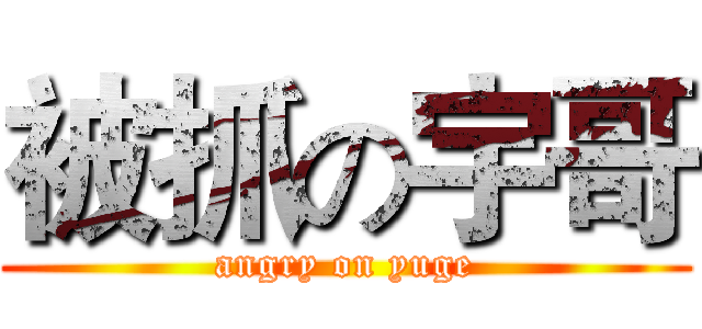被抓の宇哥 (angry on yuge)