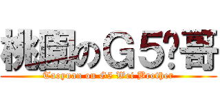 桃園のＧ５煒哥 (Taoyuan on G5 Wei Brother)