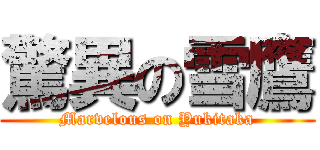 驚異の雪鷹 (Marvelous on Yukitaka)