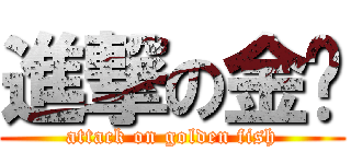 進撃の金鱼 (attack on golden fish)