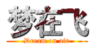 梦在飞 (Dream on air)