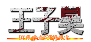 王子昊 (WANGZIHAO)