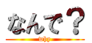 なんで？ (why)
