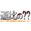 逗比の骆驼 (Stupid on camel)