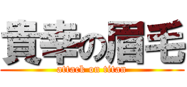 貴幸の眉毛 (attack on titan)