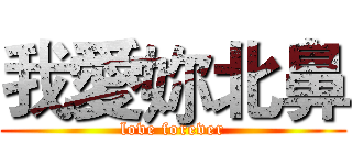 我愛妳北鼻 (love forever)