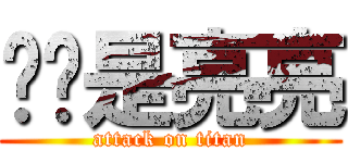 顺纪是亮亮 (attack on titan)