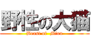 野性の大猫 (Beast of  Miou)
