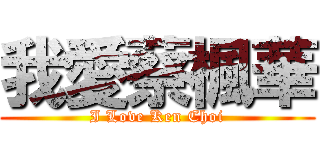 我愛蔡楓華 (I Love Ken Choi)